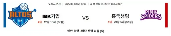 로얄스포츠 스포츠분석