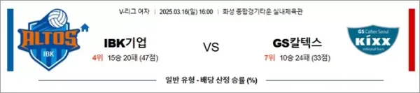 로얄스포츠 스포츠분석